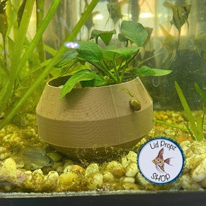 Aquarium Plant Pot Brown. Planted Fish Tank.