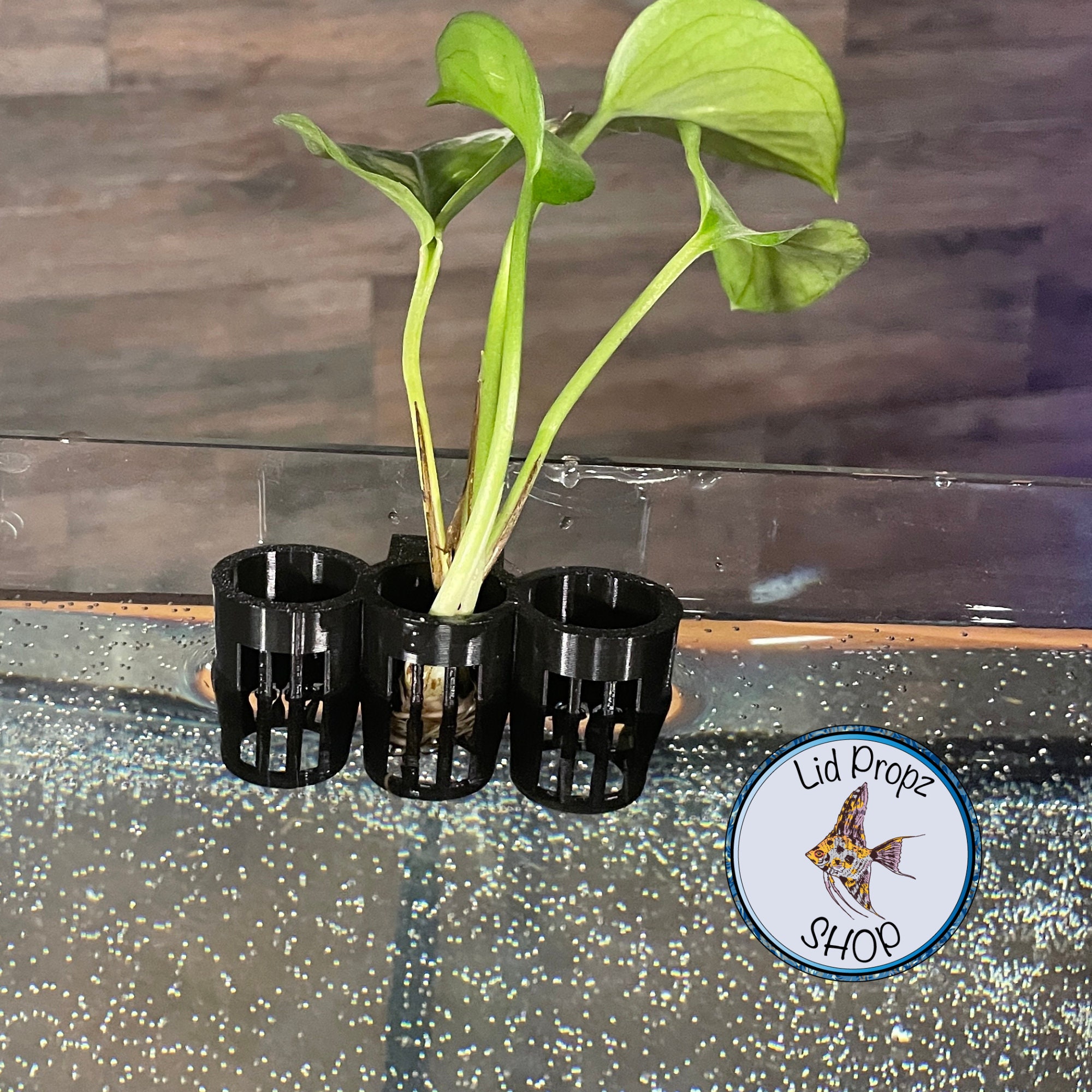 Cheap Hanging Aquarium Plant Holder Aquatic Plant Pot with Hole Aquarium Planter Cups for Emersed Plants Aquascape Decorations