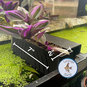 Aquarium Plant Holder Clip & Large Aquaponic Plant Box – Naturally Reduce Nitrates and Beautify Your Tank with Houseplants Plant Box Large.