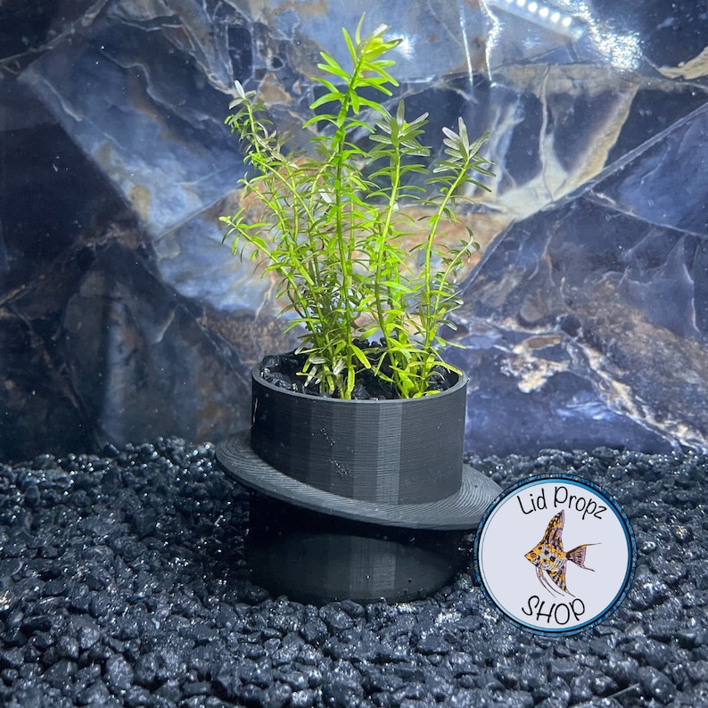 Aquarium Pots for Aquarium Plants Clean Planted Aquariums Etsy