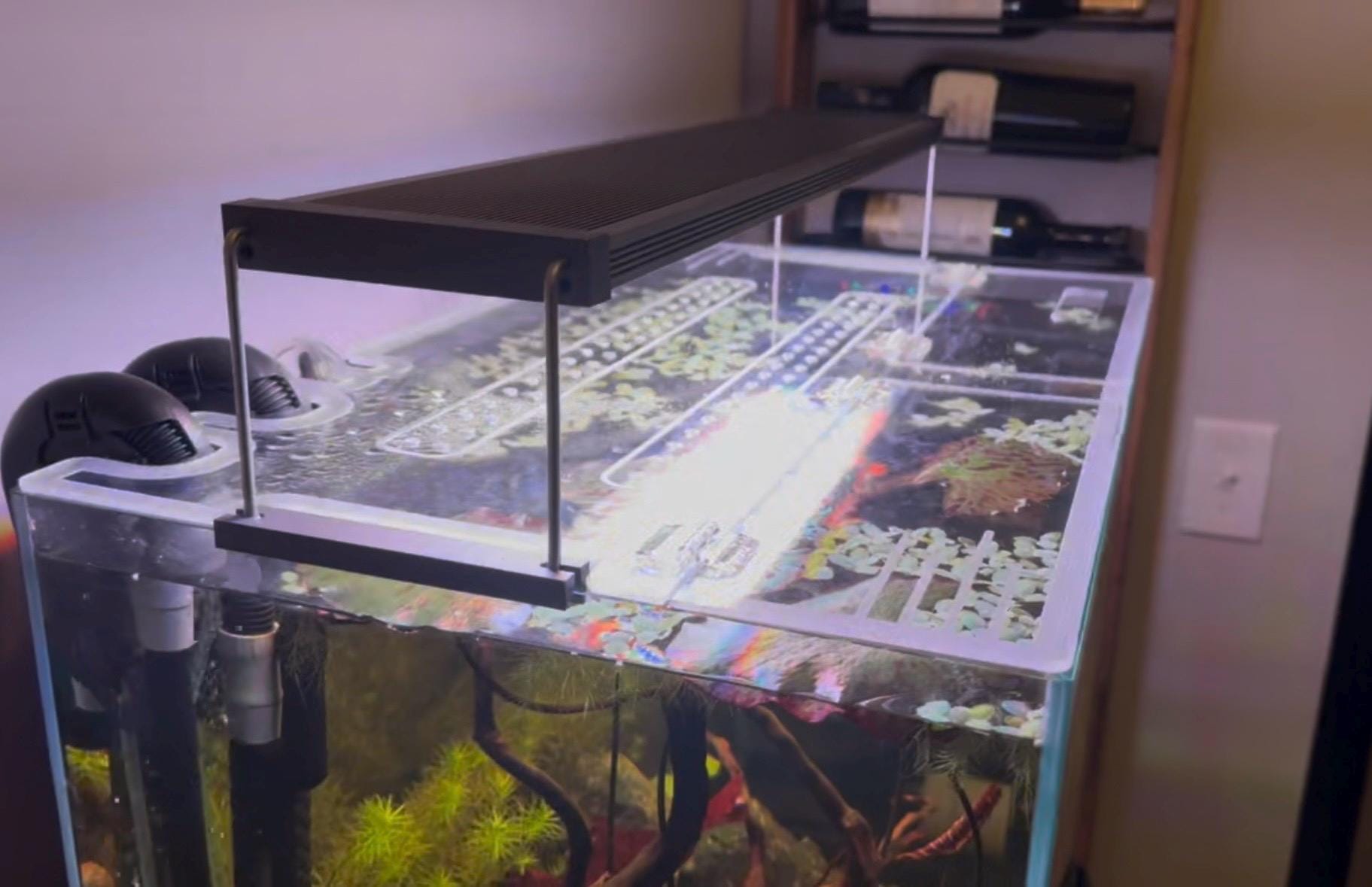 UNS Aquarium Lid - Rimless Tanks - Clear Fish Tank Cover for Ultum ...