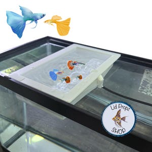 Automatyczny Top Off Breeder Box. Zbiornik Sit In do zbiorników 10, 20, 55 galonów. Łatwy dla wszystkich ryb