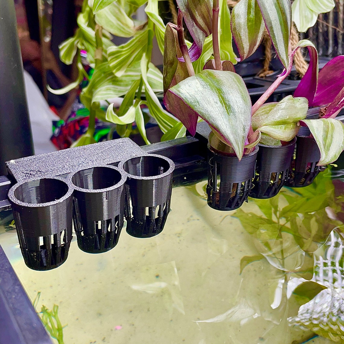 Aquaponics Aquarium Plant Holder Great for Pothos Wondering Etsy