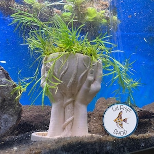 Puede incluir: Maceta de cerámica blanca con forma de dos manos sosteniendo una planta. La planta es una planta acuática verde. La maceta tiene una base pequeña y una superficie texturizada. El texto "Lid Propz Shop" está en una pegatina circular azul y blanca.