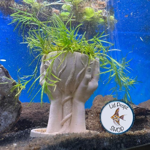 Ceramic Aquarium Plant Pot: Fish Tank Safe.