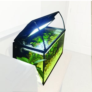 May include: A black aquarium with a clear glass lid that opens. The aquarium is filled with water and has green plants and rocks inside.