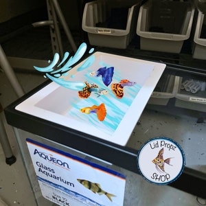 Breeder Box. Sit In Tank for 10, 20, 55 gallon tanks. Easy for all fish and egg scattering fish including guppies and celestial pearl danio