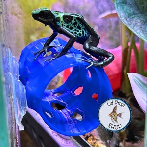 Dart Frog Tube Blue, Reptile Tube For Hiding And Relaxation. Food Grade and Safe! Soft Edges