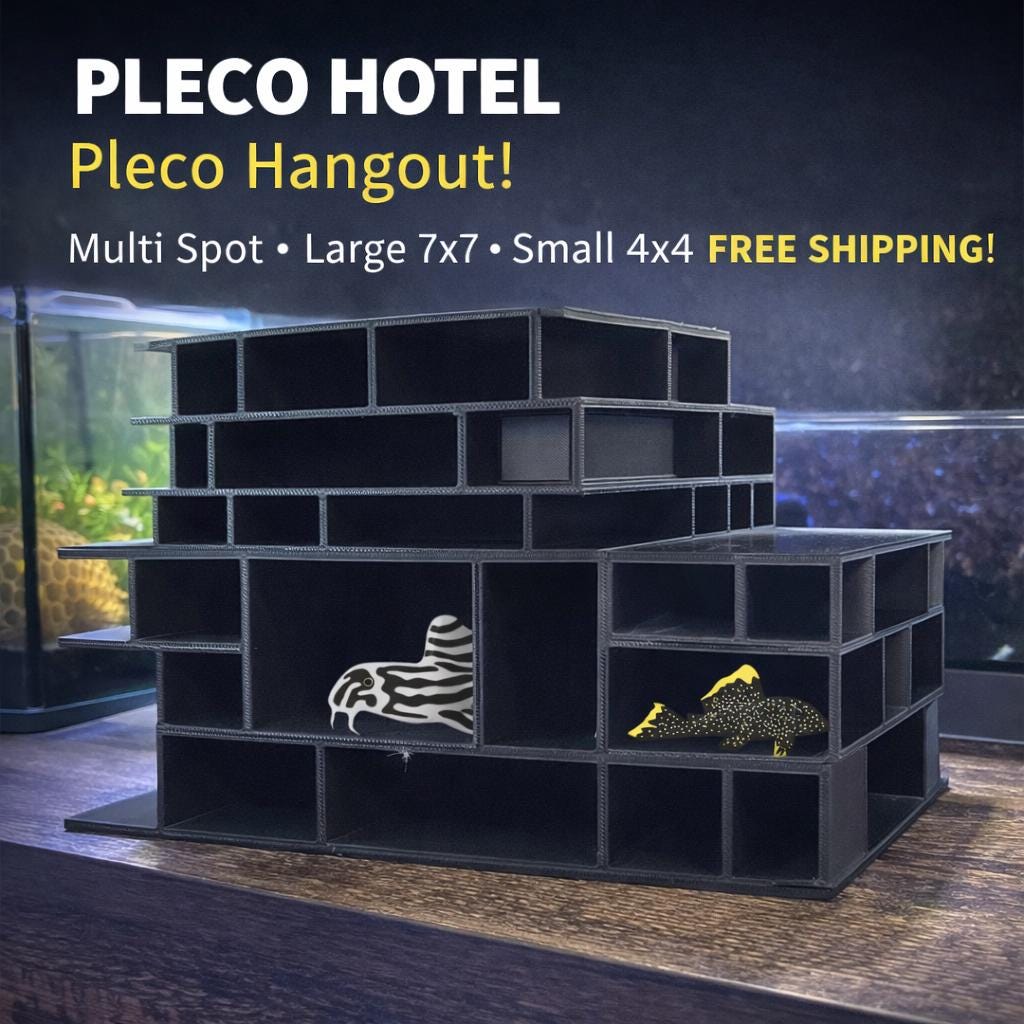 PLECO HOTEL, Pleco Hangout! Multi Spot, Large 7x7, Small 4x4free