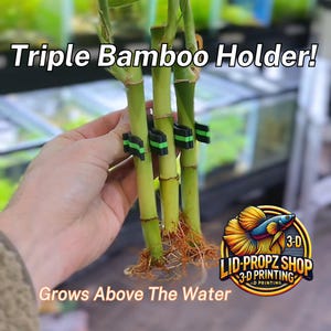 May include: Triple bamboo holder with green and black straps. The bamboo is growing above the water. The text "3D LID-PROPZ SHOP 3-D PRINTING" is visible in the lower right corner of the image.