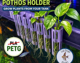 Pothos - Holder, Aquaponics Aquarium, Wondering Dude i wiele innych roślin. Reduktor azotanów!