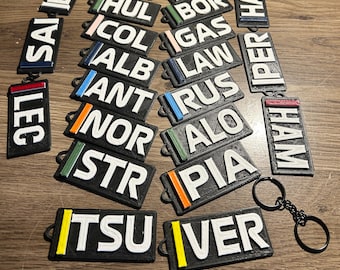 Llaveros con placa de piloto de F1