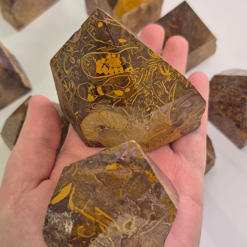 Calligraphy on Rocks - Etsy