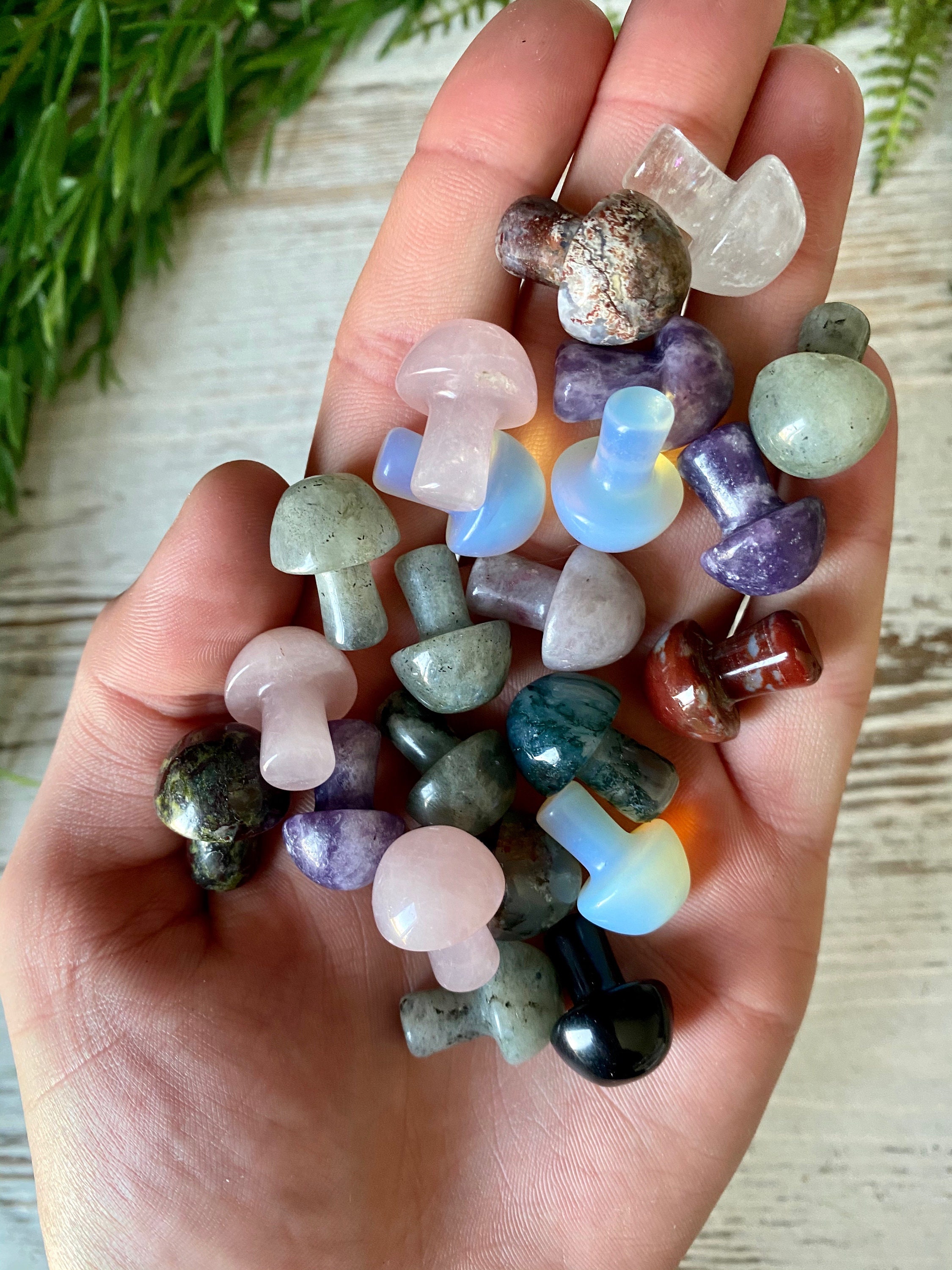 Assorted Mini Mushroom Stones QTY: 1