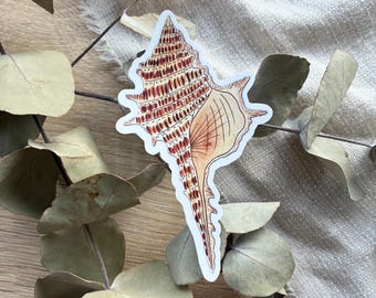 Sticker coquillage aquarelle vinyle fait main imperméable à l'eau ; Sticker plage coquillage marron et crème résistant à la décoloration ; Sticker pour ordinateur portable
