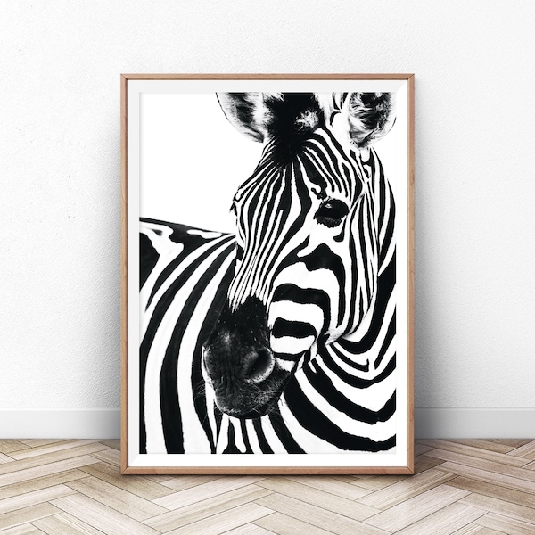 Zebra Art Print Etsy