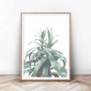Botanical Plant Print, Leaf Print Poster, Wall Art Poster, Printable Digital Download Art