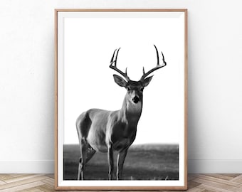 Deer Print, Black And White Wall Art, Stag Print, Poster, Wall Art, Wall Art Poster, Wall Decor, Printable Digital Download Art