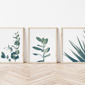 Botanical Plant Print, Set Of 3 Botanical Prints, Botanical Wall Art Set, Wall Art Poster, Printable Digital Download Art