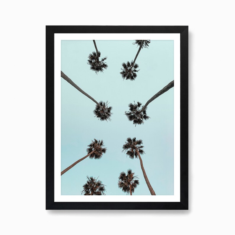 Palm Tree Wall Art, Summer California Ocean Photo, Malibu Beach, Beach Wall Art, Sea Coast, Wall