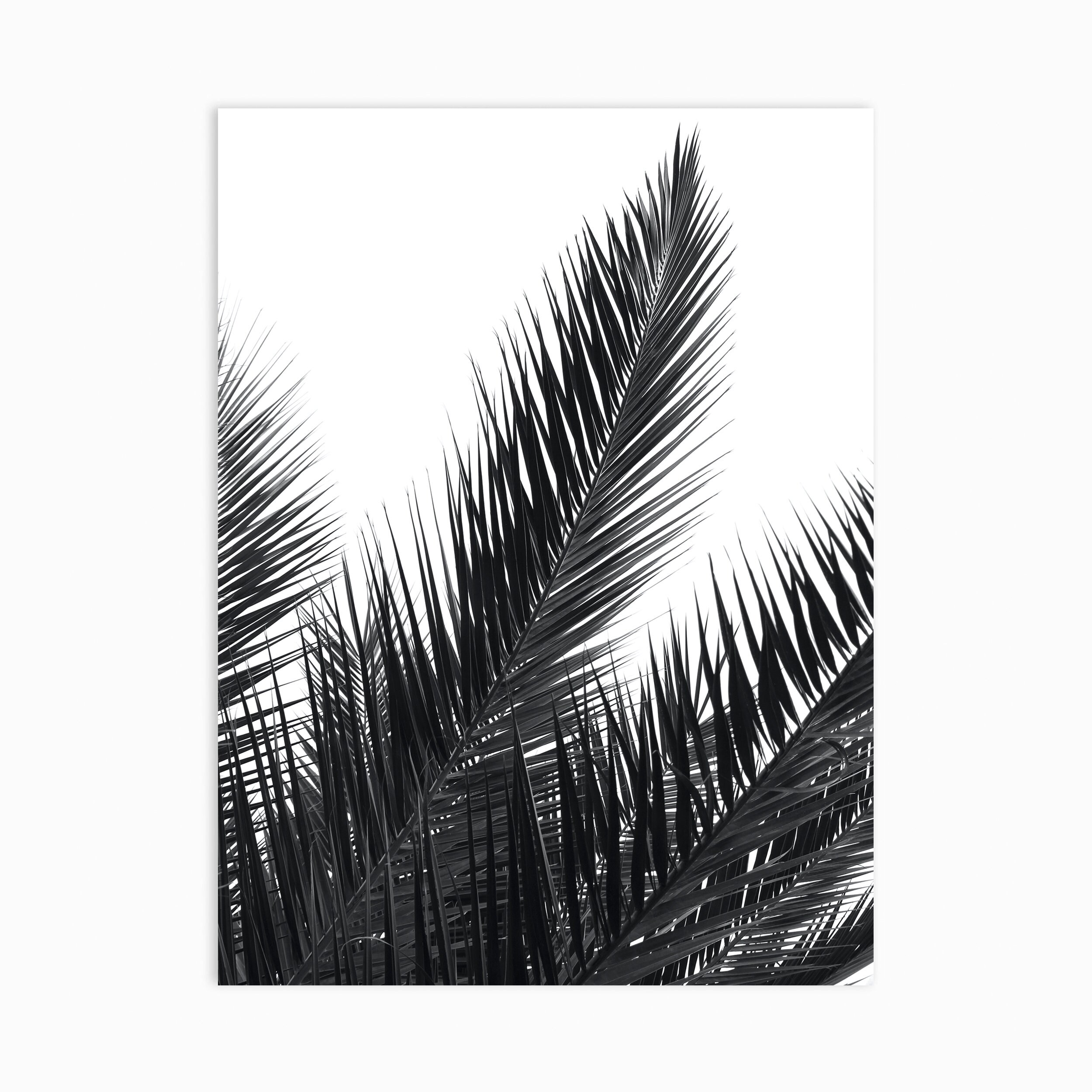 Palm Tree Leaf Print, Wall Art, Wall Art Poster, Printable Digital ...