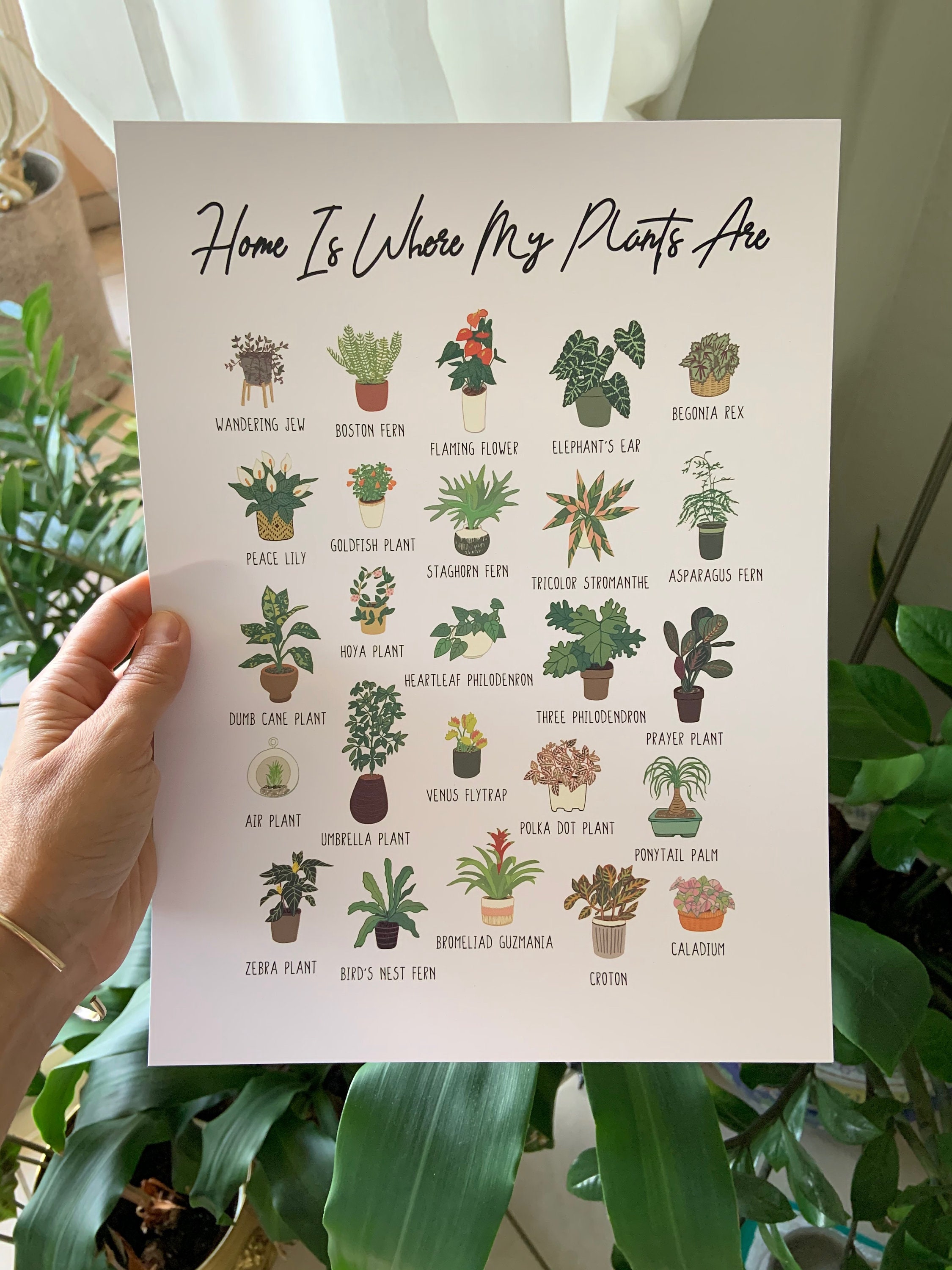 House Plants Art Print  "home is Where My Plants Are" - Etsy