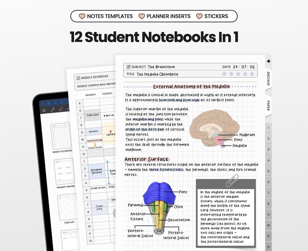 12 in 1 Student Digital Notebook for Goodnotes Notability iPad ...