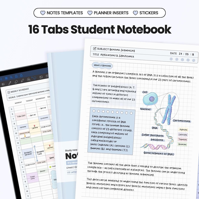 Assignment Notebook - Etsy