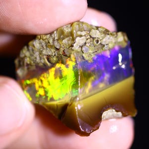 May include: A rough opal gemstone with a vibrant display of colors. The stone exhibits a mix of yellow, green, and purple hues, with a dark brown base and a textured, light-colored top. The opal is held in a hand.
