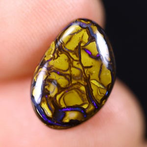 May include: A polished, oval-shaped gemstone with a unique pattern. The stone features a base of olive green with dark brown veining and flashes of purple and blue. The surface is glossy, reflecting light and showcasing the intricate internal structure.