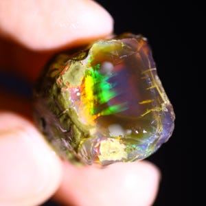 May include: A rough-cut opal gemstone with vibrant internal colors of green, yellow, and red. The stone has a translucent quality, with a dark background. The opal is held in a hand, showcasing its natural, unpolished texture.