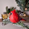 Enchanting Handcrafted Clip-On Bird Ornaments for Christmas Trees – Vibrant, Artisanal, and Unique Holiday Decorations