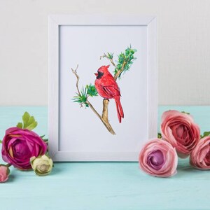Cardenal en rama pintado a mano acuarela arte *Descarga digital instantánea* impresión - Indiana State Bird