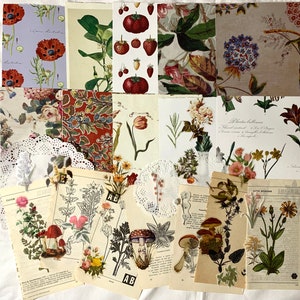 Botanical Junk Journal Kit | Vintage Floral Ephemera, Scrapbooking Collage