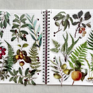 Plant Stickers, Botanical Decorative Stickers, Foliage Sticker, Planner Stickers, Scrapbook Stickers, Bujo, Greenery Planner Stickers,
