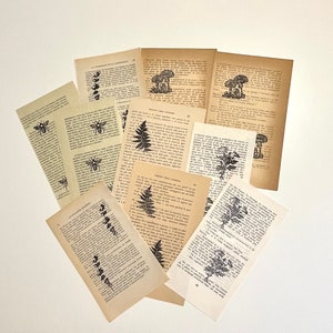 Peut inclure: Plusieurs pages de livres anciens avec des illustrations botaniques de fleurs, de champignons, de fougères et d'abeilles. Les pages sont disposées en éventail, mettant en valeur le papier vieilli et les dessins détaillés en noir et blanc. Le texte est en langue étrangère.