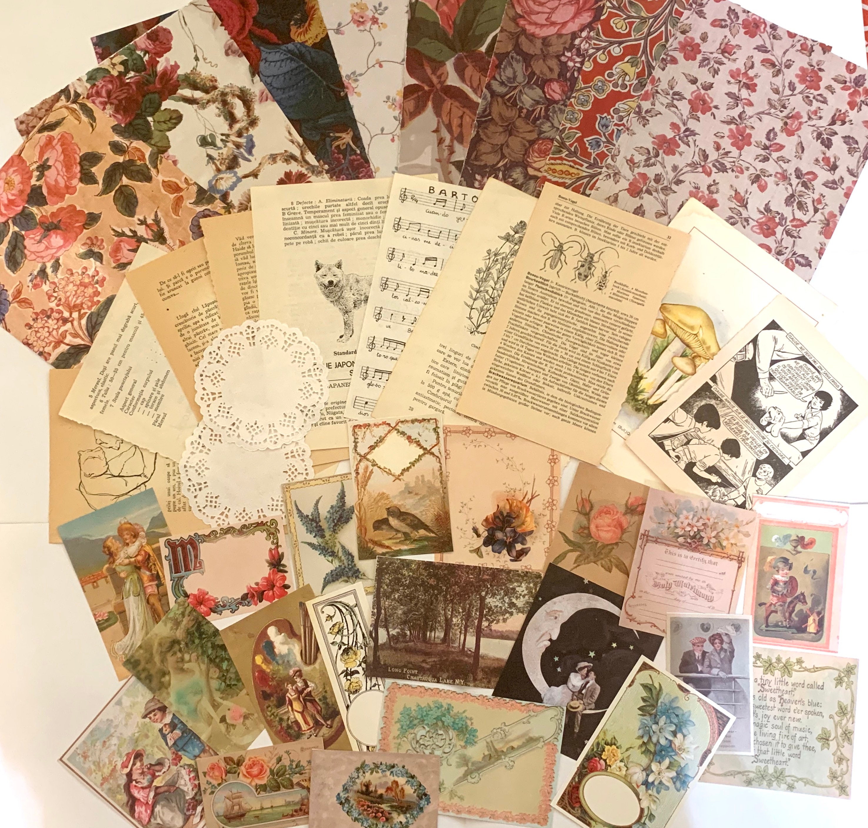 Paper Junk Journal Kit Journaling Card Making 40pcs Collage