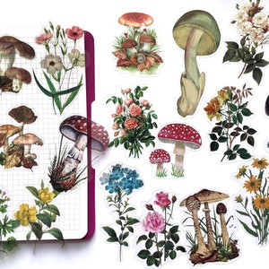 Clear Botanical Stickers, Botanical Decorative Stickers, Foliage Sticker, Planner Stickers, Scrapbook Stickers, Greenery Planner Stickers