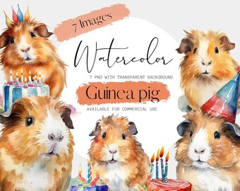 Cute Guinea Pig Birthday Watercolor Clipart, Commercial Use (Digital Download)