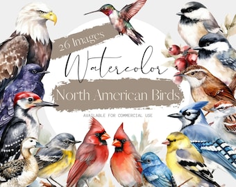 Watercolor Birds Clipart: North American Bird PNGs (Digital Download)