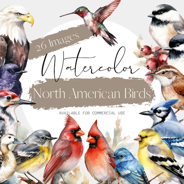 Birds Watercolor Clipart png, Transparent PNGs, North American Birds collection for Educational Posters or Games etc.