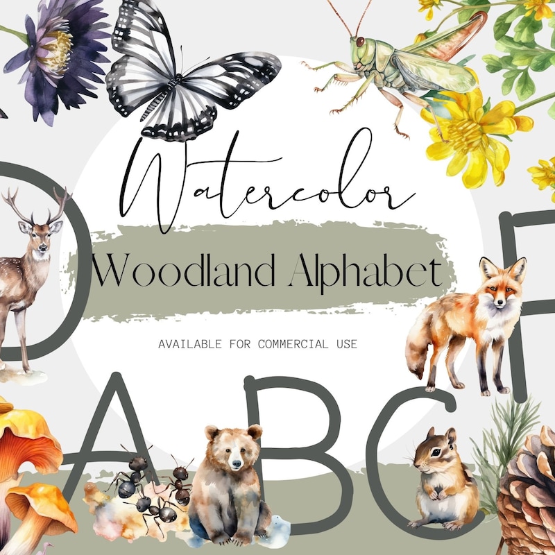 Animal Alphabet - Etsy