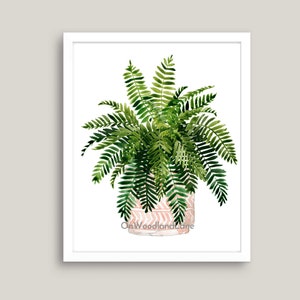 Planted Fern in a textured pot (10x8) download printable