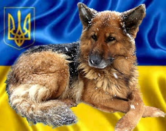 Nourrir les animaux d'Ukraine Acheter de la nourriture pour animaux en Ukraine Biens numériques Animaux Dessins d'enfants en Ukraine Graphiques