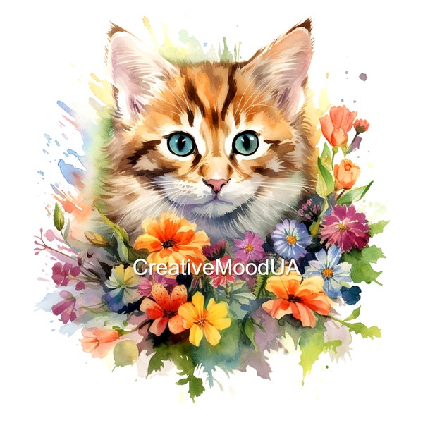 Collection of digital watercolor illustrations 10 PNG/JPG drawings Cats and flowers are the soul of the Universe Help for animals in Ukraine