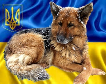Feed the animals of Ukraine Buy food for animals in Ukraine Digital goods Animals Children&#39;s drawings in Ukraine Graphics