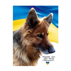 Acquista cibo per animali in Ucraina Dai da mangiare agli animali dell'Ucraina Beni digitali Animali Disegni dei bambini dell'Ucraina Grafica