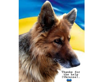 Buy pet food in Ukraine Feed the animals of Ukraine Digital goods Animals Children&#39;s drawings of Ukraine Graphics