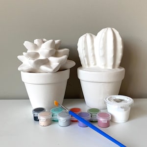 Sweet Succulent, Magnificent Succulent, Succulent pottery painting kit, Cactus Pottery Painting Kit, At home Art Kits, Craft Supplies