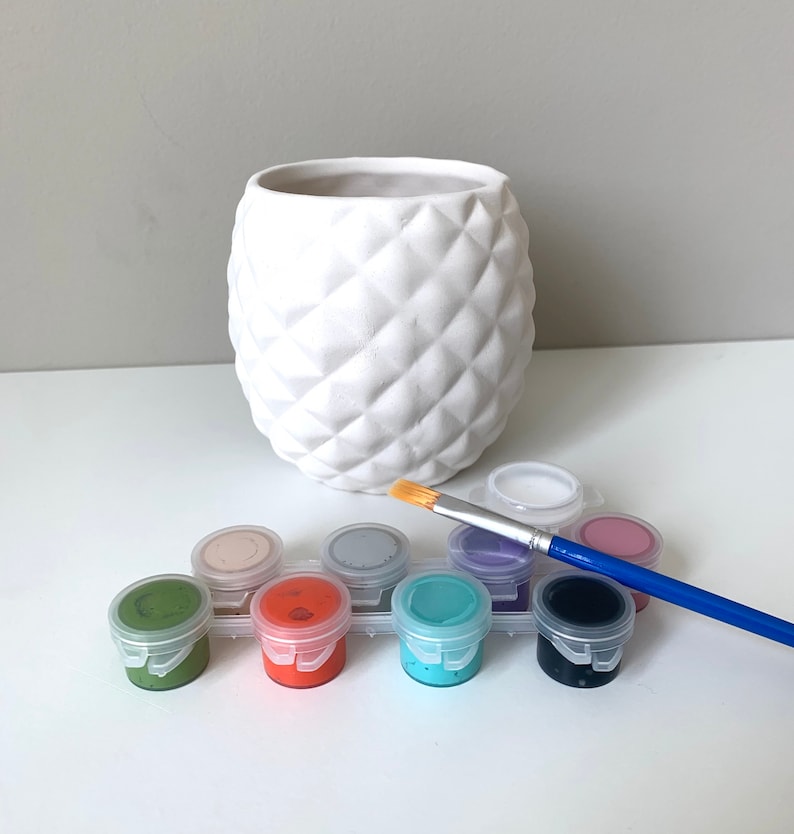 DIY Pottery Painting Kit Succulent Planter Kit Virtual Paint Etsy